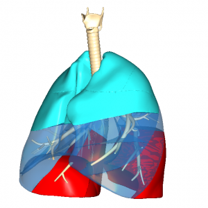 人工呼吸肺 L6